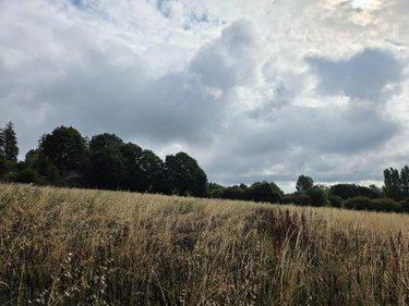 Terres à vendre à Villaines-la-Juhel en Mayenne (53700), ref : 1375 Terres à vendre à Villaines-la-Juhel en Mayenne (53700), ref : 1375