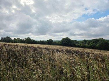 Terres à vendre à Villaines-la-Juhel en Mayenne (53700), ref : 1375 Terres à vendre à Villaines-la-Juhel en Mayenne (53700), ref : 1375