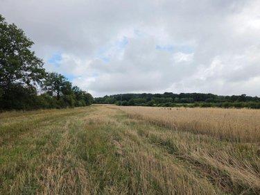 Terres à vendre à Villaines-la-Juhel en Mayenne (53700), ref : 1375 Terres à vendre à Villaines-la-Juhel en Mayenne (53700), ref : 1375
