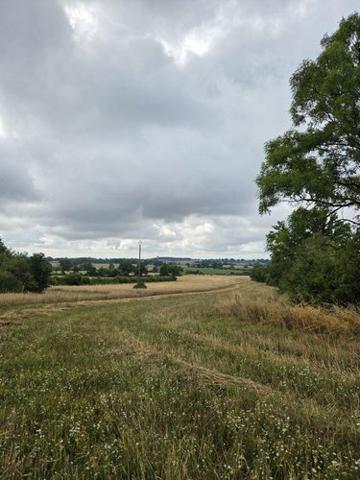 Terres à vendre à Villaines-la-Juhel en Mayenne (53700), ref : 1375 Terres à vendre à Villaines-la-Juhel en Mayenne (53700), ref : 1375