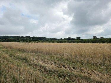 Terres à vendre à Villaines-la-Juhel en Mayenne (53700), ref : 1375 Terres à vendre à Villaines-la-Juhel en Mayenne (53700), ref : 1375