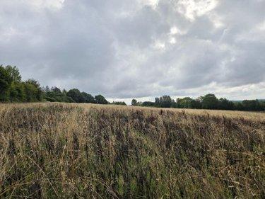 Terres à vendre à Villaines-la-Juhel en Mayenne (53700), ref : 1375 Terres à vendre à Villaines-la-Juhel en Mayenne (53700), ref : 1375