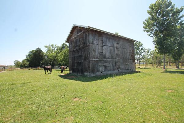 Ancien séchoir à tabac – 83 m² – Terrain de 5 428 m² – Potentiel de réhabilitation en habitation proche de CASTELJALOUX (47)