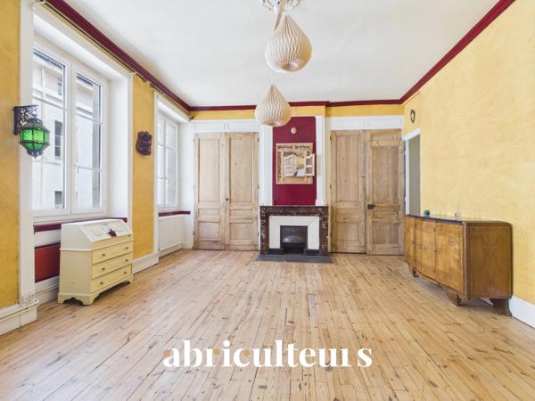 Spacieux appartement familial de 176 m², hyper-centre Rue de la Résistance en vente à Saint-Étienne (42000)