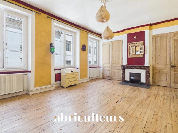 Spacieux appartement familial de 176 m², hyper-centre Rue de la Résistance en vente à Saint-Étienne (42000)