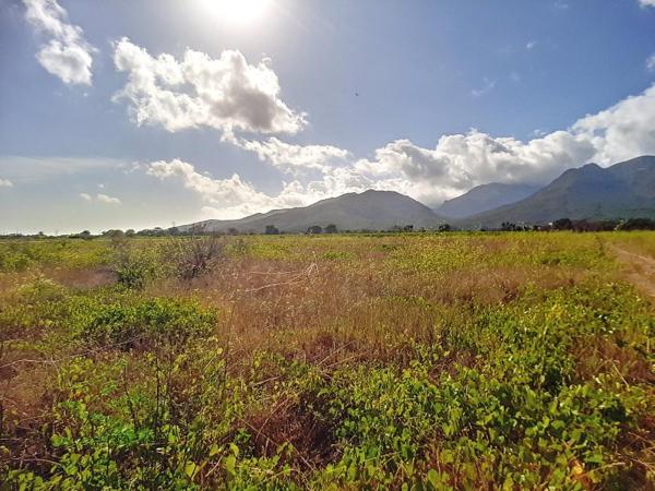 Vente / Terrain agricole