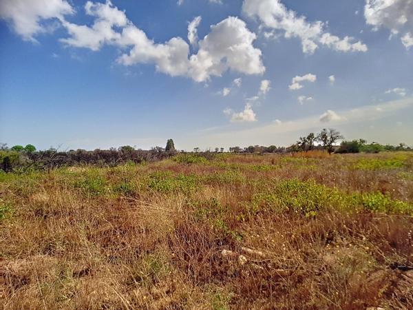 Vente / Terrain agricole