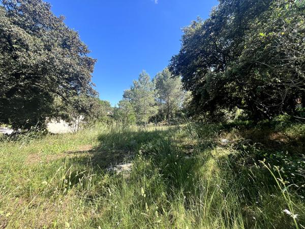 Terrain sur les hauteurs libre constructeur