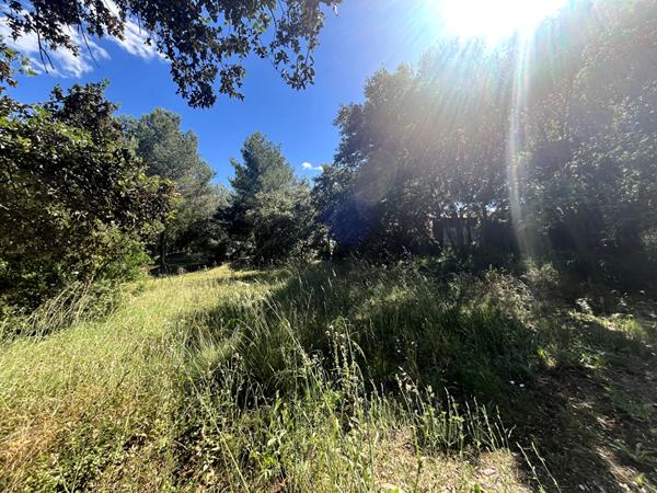 Terrain sur les hauteurs libre constructeur