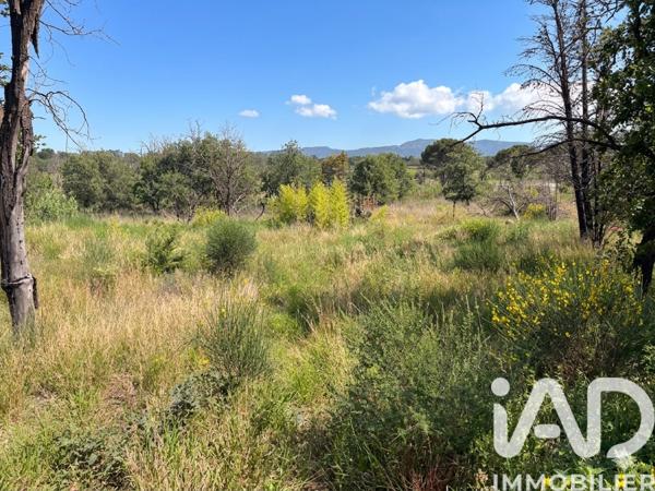 Terrain à vendre 1 590 m² Millas