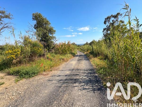 Terrain à vendre 1 590 m² Millas