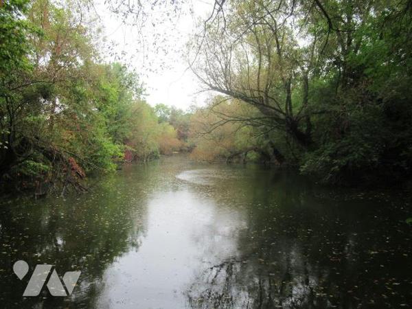 A vendre à Troyes terrain de loisir avec étang , pièce d'eau de 5847m² , située en pleine ville...