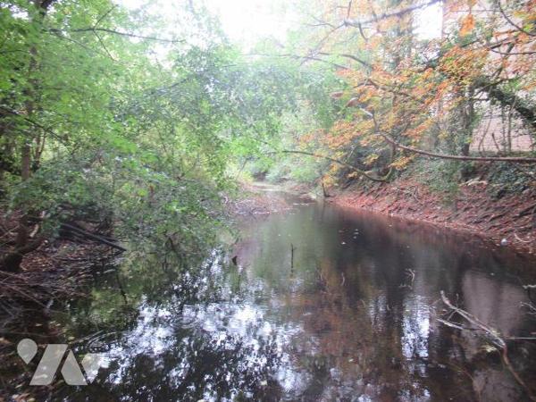 A vendre à Troyes terrain de loisir avec étang , pièce d'eau de 5847m² , située en pleine ville...