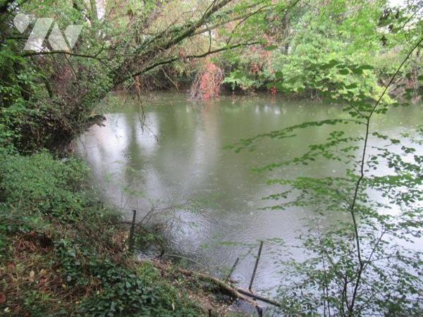 A vendre à Troyes terrain de loisir avec étang , pièce d'eau de 5847m² , située en pleine ville...
