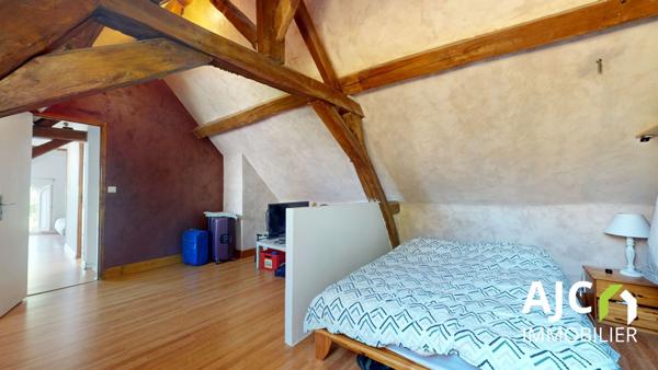 Savonnières (37510) Maison avec vue sur le cher