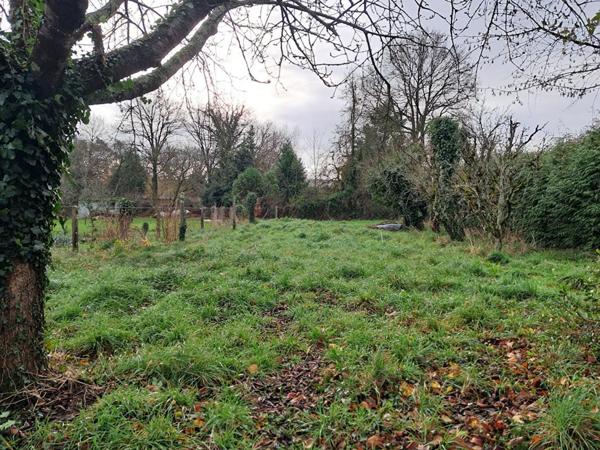 Terrain Quily 800 m2