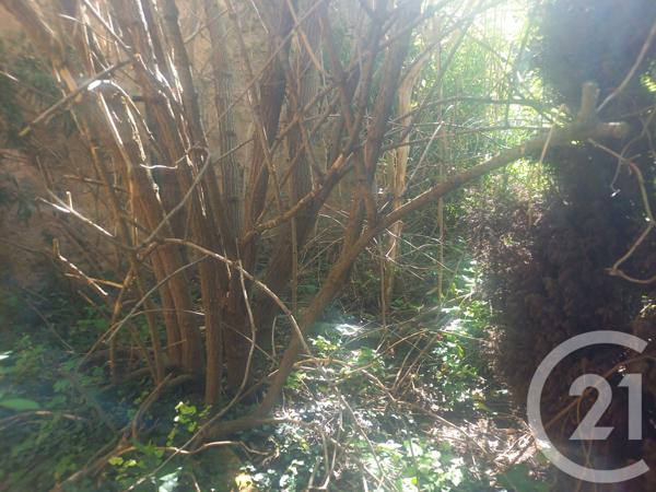 Maison à vendre  5 pièces - 95,49 m2 ARQUES - 11