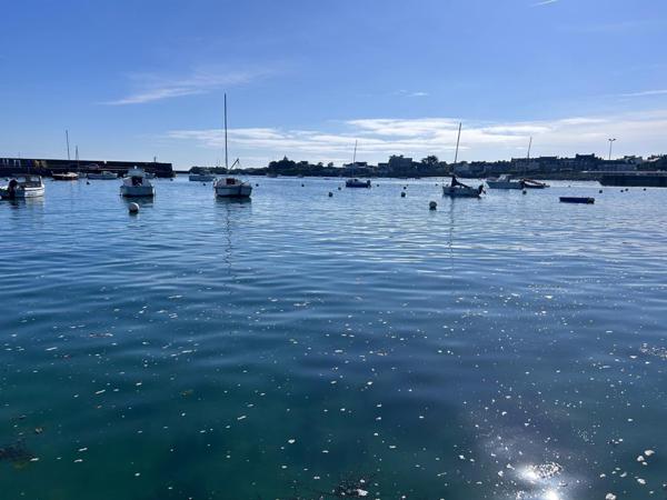 TERRAIN CONSTRUCTIBLE VIABILISE