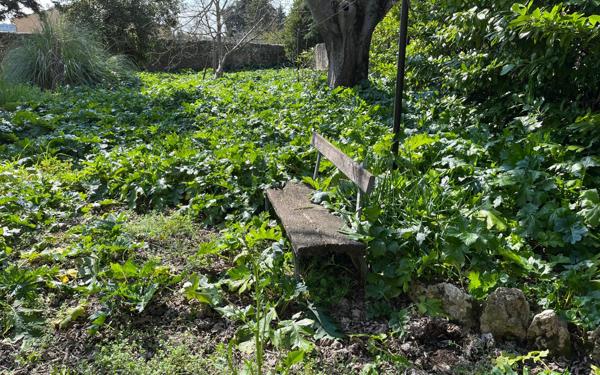 Maison à vendre    10 pièces • 250 m2 Saint-Pons-de-Mauchiens