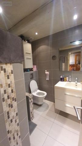 Maison à vendre à Andelat dans le Cantal (15100), ref : FG/2458   
LE SAILHANT