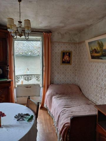 Maison à vendre à Vic-sur-Cère dans le Cantal (15800), ref : MG/2366