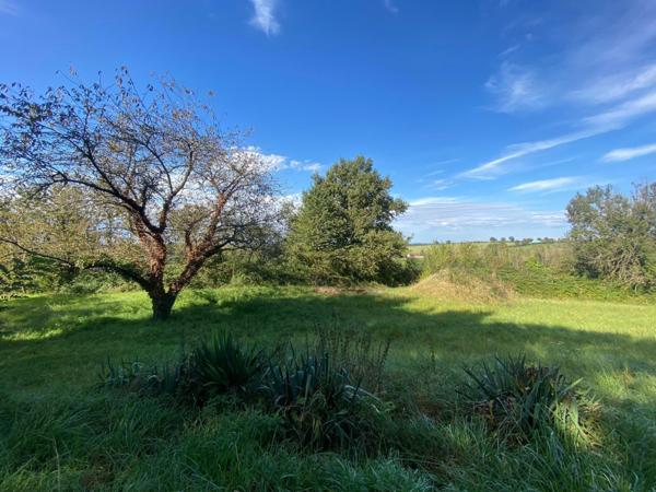 Belle propriété dans un environnement verdoyant