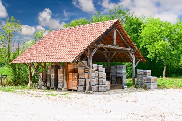 Magnifique propriété sur env 15 hectares avec gite proche Saint Germain du Bois