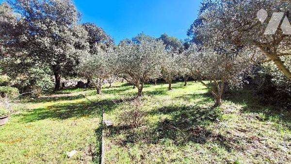 Maison au Talagard en zone naturelle