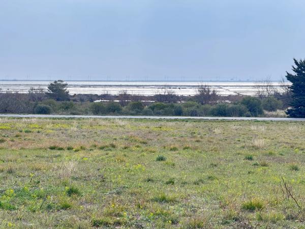 Terrain de loisir 5 410,00 m² proche de LA PALME (11)