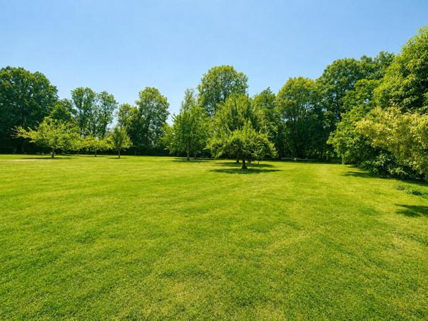 Maison à Mortagne-au-Perche, 61400 - 7 pièces 232m²