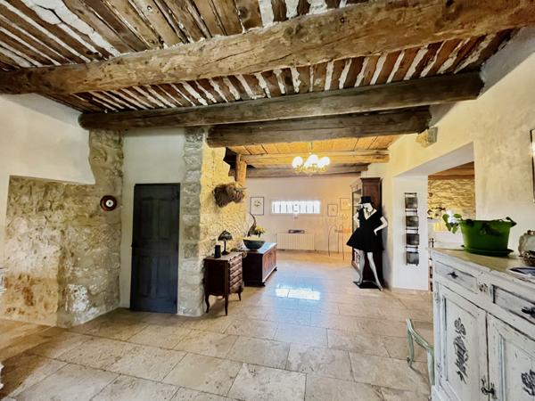 L'Isle-sur-la-Sorgue (84800) PROPRIETE 360 M2