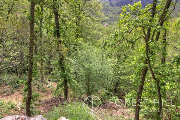 Maureillas-las-Illas (66480) Terrain à batir