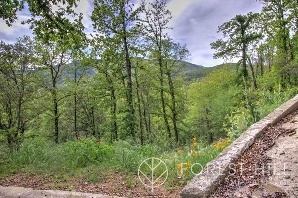 Maureillas-las-Illas (66480) Terrain à batir