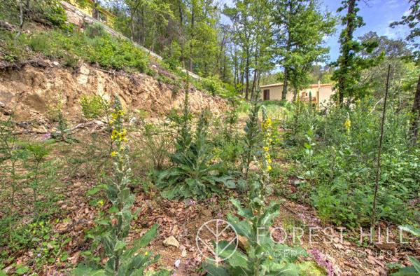 Maureillas-las-Illas (66480) Terrain à batir