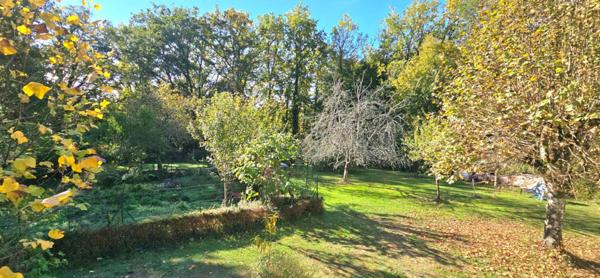 Maison  type 6 , sur sous-sol complet, terrain  arboré de 5734 m²