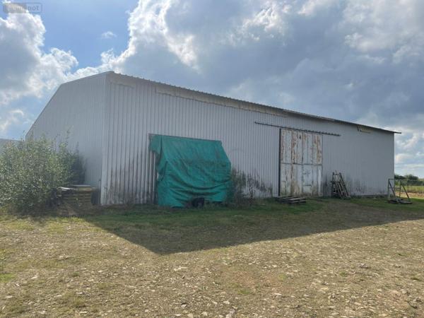 Local industriel à vendre à Lassay-les-Châteaux en Mayenne (53110), ref : 496