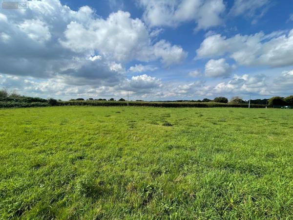 Local industriel à vendre à Lassay-les-Châteaux en Mayenne (53110), ref : 496