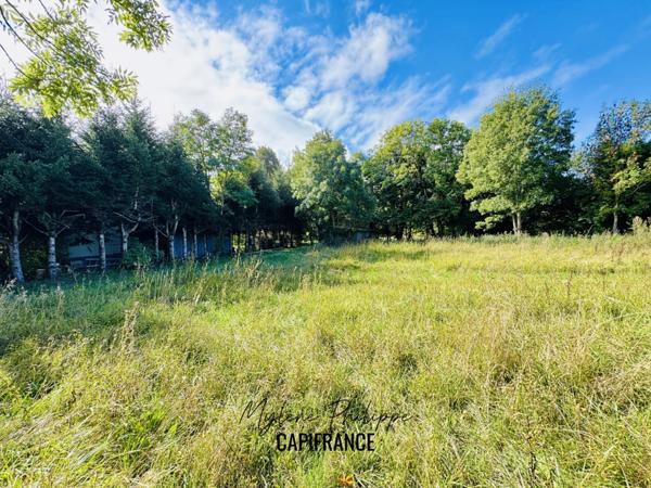 Terrain à vendre - SAINT-JULIEN-EN-CHAMPSAUR (05)