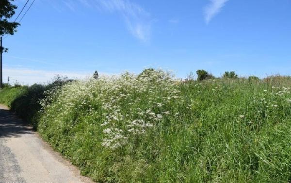 Vente Maison Nanteuil-en-vallee   