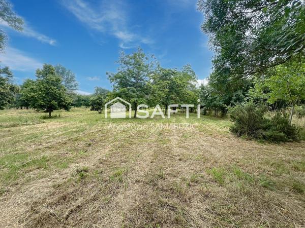 Donnez vie à votre projet immobilier sur ce magnifique terrain viabilisé d'environ  3 861 m² proche du coeur de Toulouse.