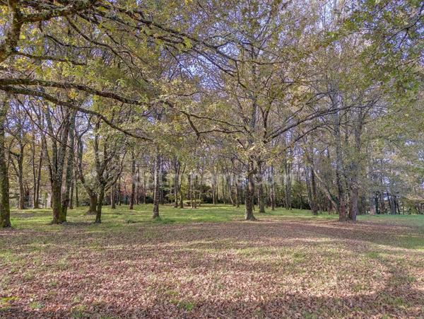 Magnifique villa d'architecte de plain-pied pour environ 260 M2 habitables avec piscine, parc 1 hectare clos et arboré.