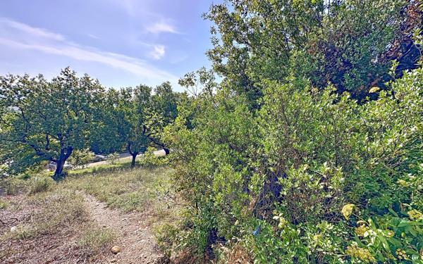 Terrain à vendre    Rochefort-du-Gard