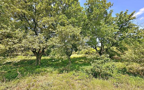 Terrain à vendre    Rochefort-du-Gard