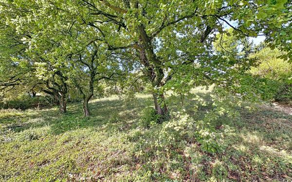 Terrain à vendre    Rochefort-du-Gard