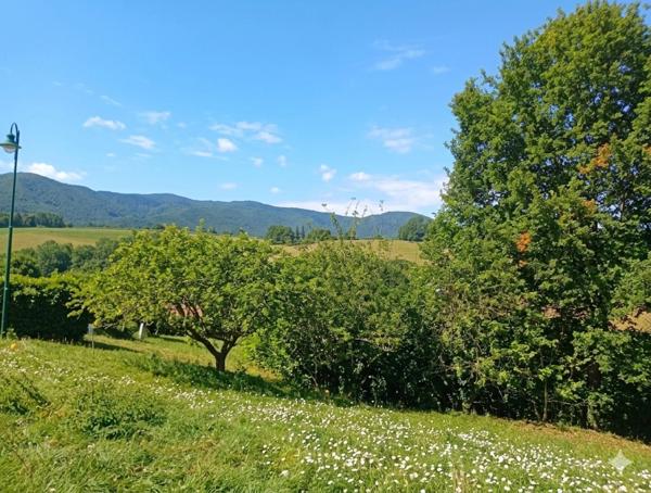 Terrain à vendre COS (09)