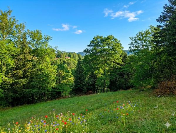 Terrain à vendre COS (09)