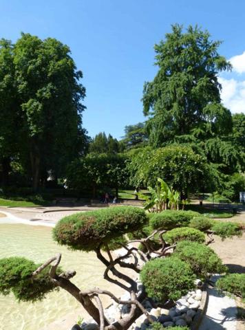 Périgueux (24000) Maison centre ville Périgueux / 7 chambres / 6 salle d'eau / terrasse / véranda