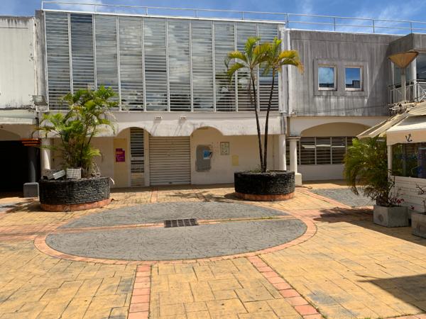 Achat local commercial près de Fort-de-France - 2500 m² - 2 500 000 €