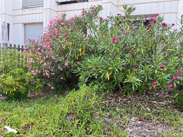 Appartement 86 336 € Soulac-sur-Mer 1 pièce 22 m² DPE D