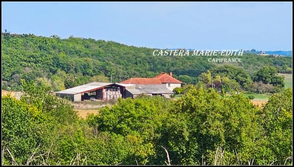 Propriete à vendre-Maison 7 pièces + bâtiments- 85,61 HECTARES proche de VIC FEZENSAC (32)